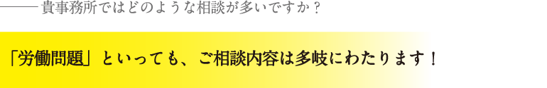 「労働問題」といっても、ご相談内容は多岐にわたります