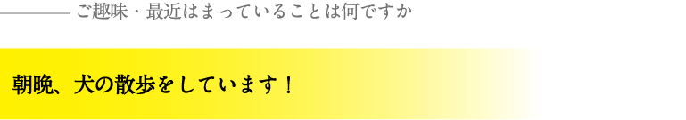 朝晩、犬の散歩をしています