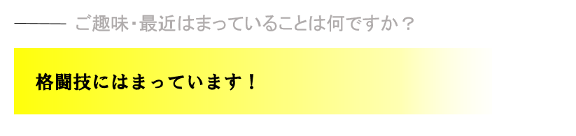 格闘技にはまっています